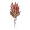 Protea Stem (Set of 2) 29”H Polyester