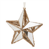 Star Ornament (Set of 12) 8.5”H Wire/PVC