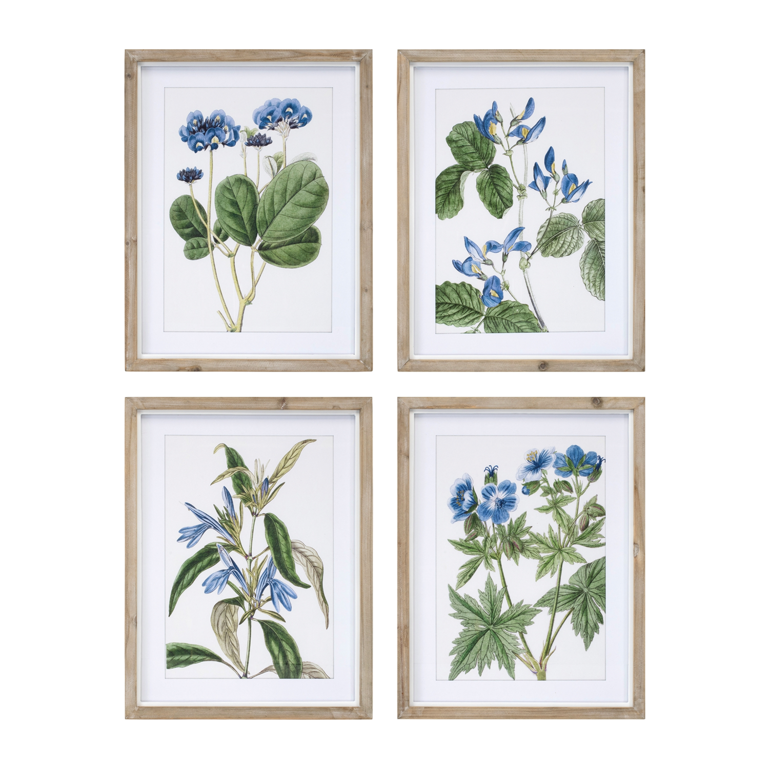 Framed Floral Print (Set of 4) 13.75"L x 17.5"H Wood/MDF/Glass
