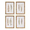 Framed Fern Print (Set of 4) 17.75”SQ Wood/MDF/Glass