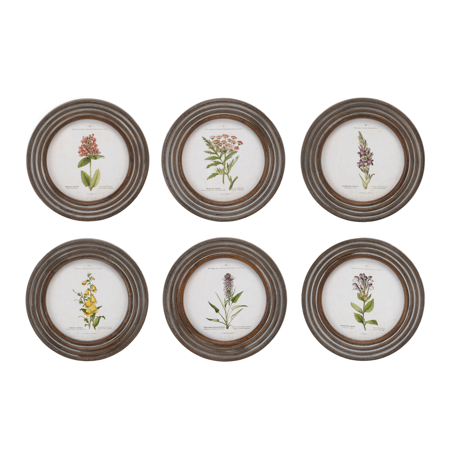 Framed Floral Print (Set of 6) 9.5”D Wood/MDF/Glass