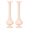 Bud Vase (Set of 2) 11”H Glass