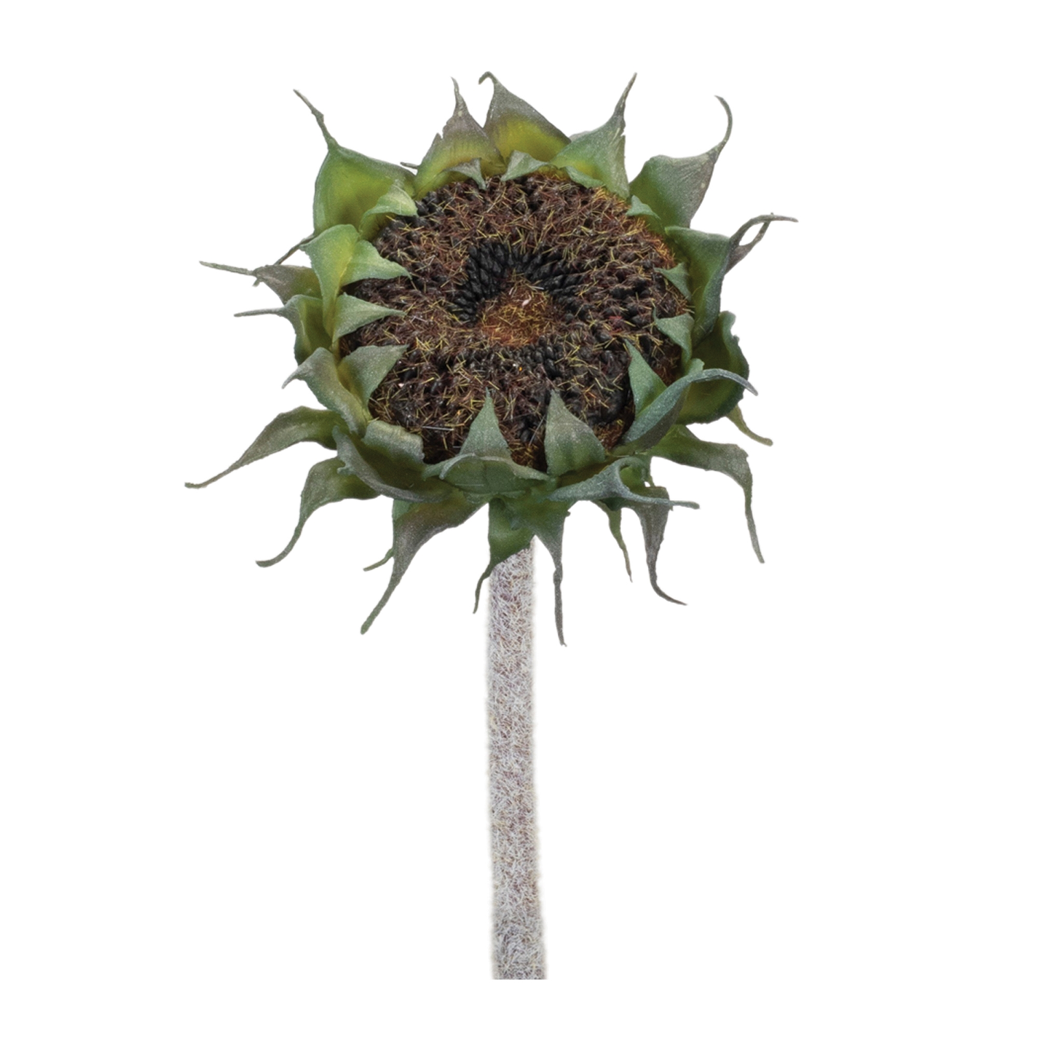 Sunflower Stem (Set of 6) 23.5”H Polyester/Plastic