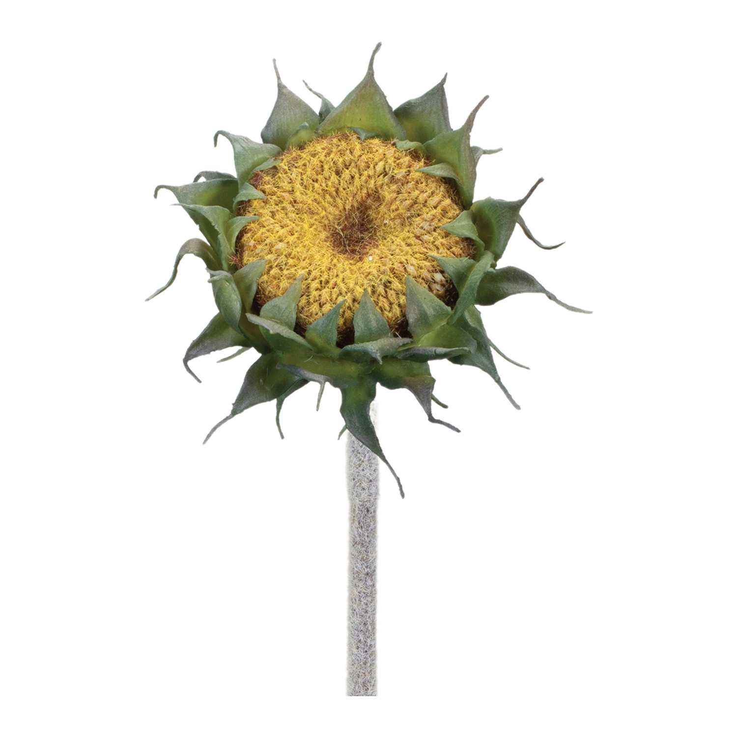 Sunflower Stem (Set of 6) 23.5”H Polyester/Plastic