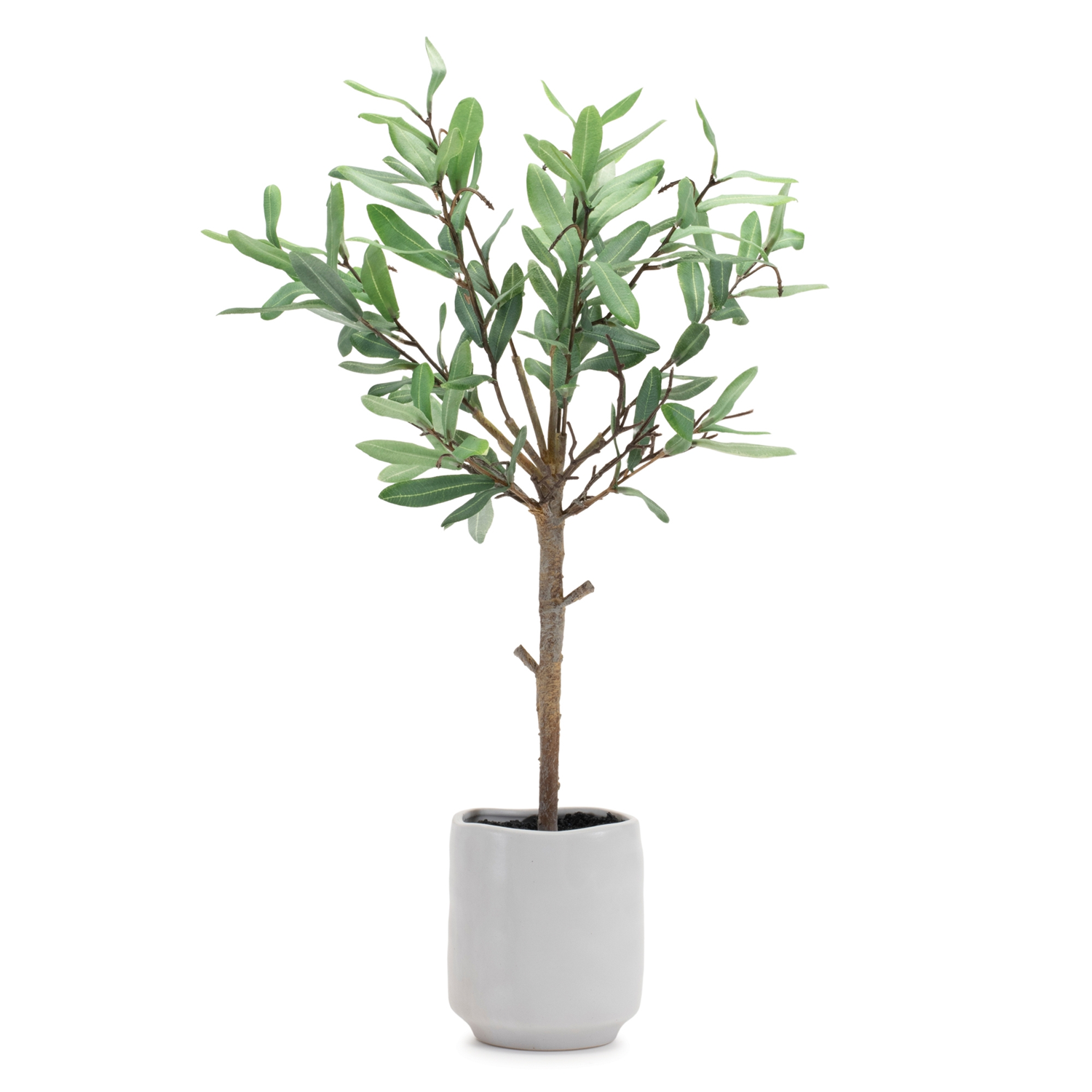 Potted Olive Leaf Topiary 21.5”H Polyester/Ceramic