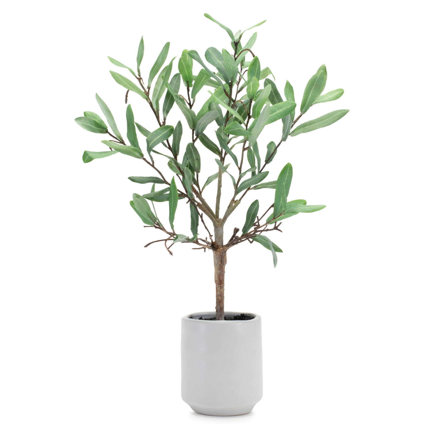 Potted Olive Leaf Topiary 17.5”H Polyester/Ceramic