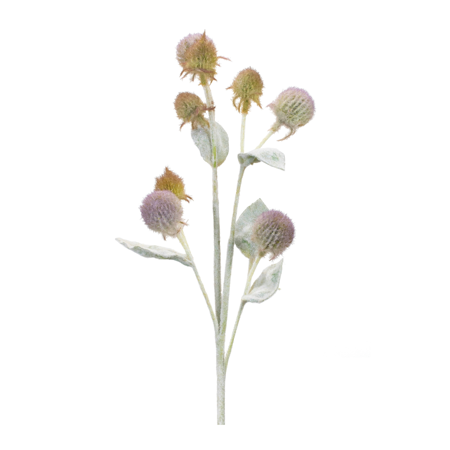 Thistle Spray (Set of 6) 27.5”H Plastic