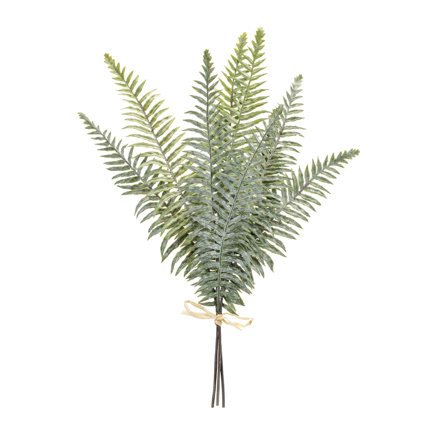 Fern Bundle (Set of 2) 20”H Plastic