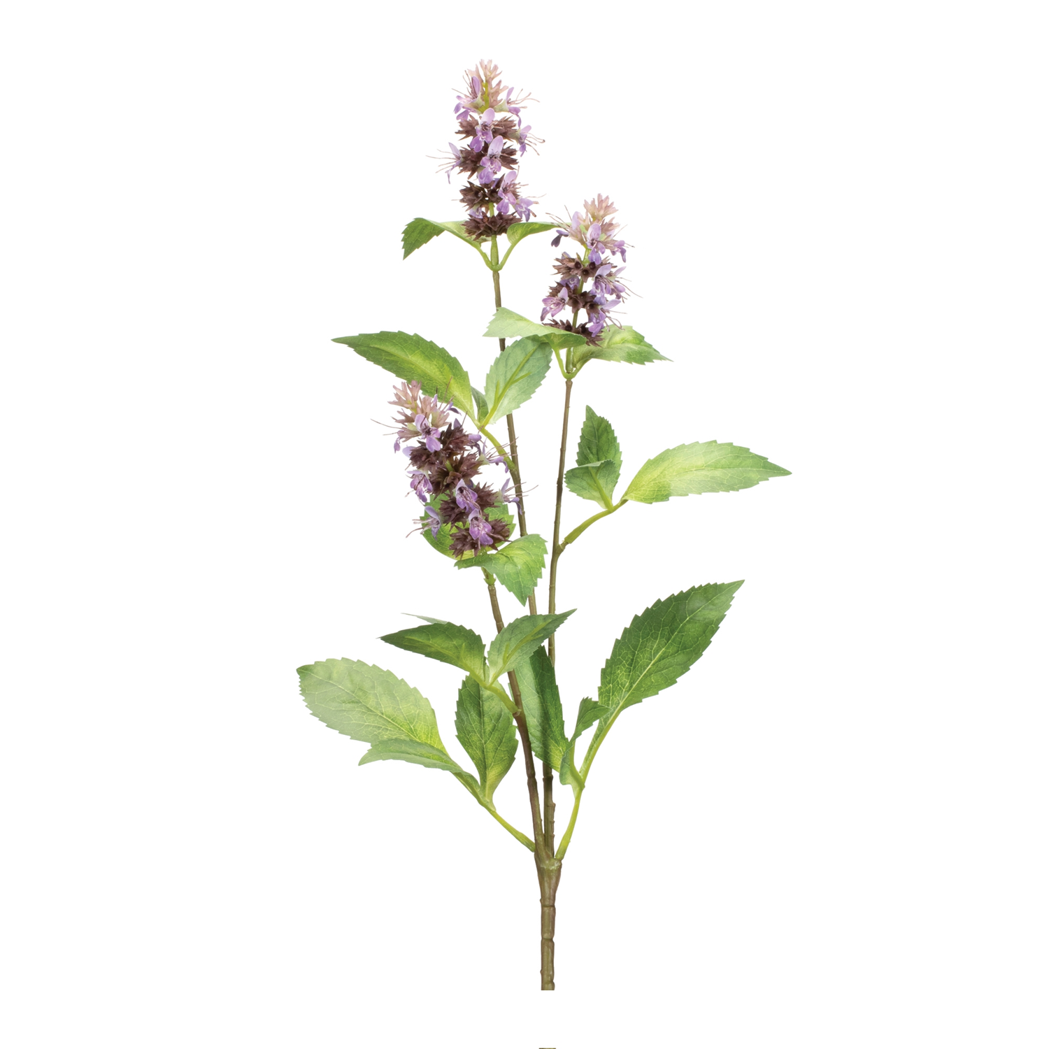 Buddleia Stem (Set of 6) 29”H Polyester