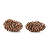 Pine Cone Decor (Set of 12)