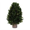 Boxwood Topiary 15.5”H Boxwood/Foam