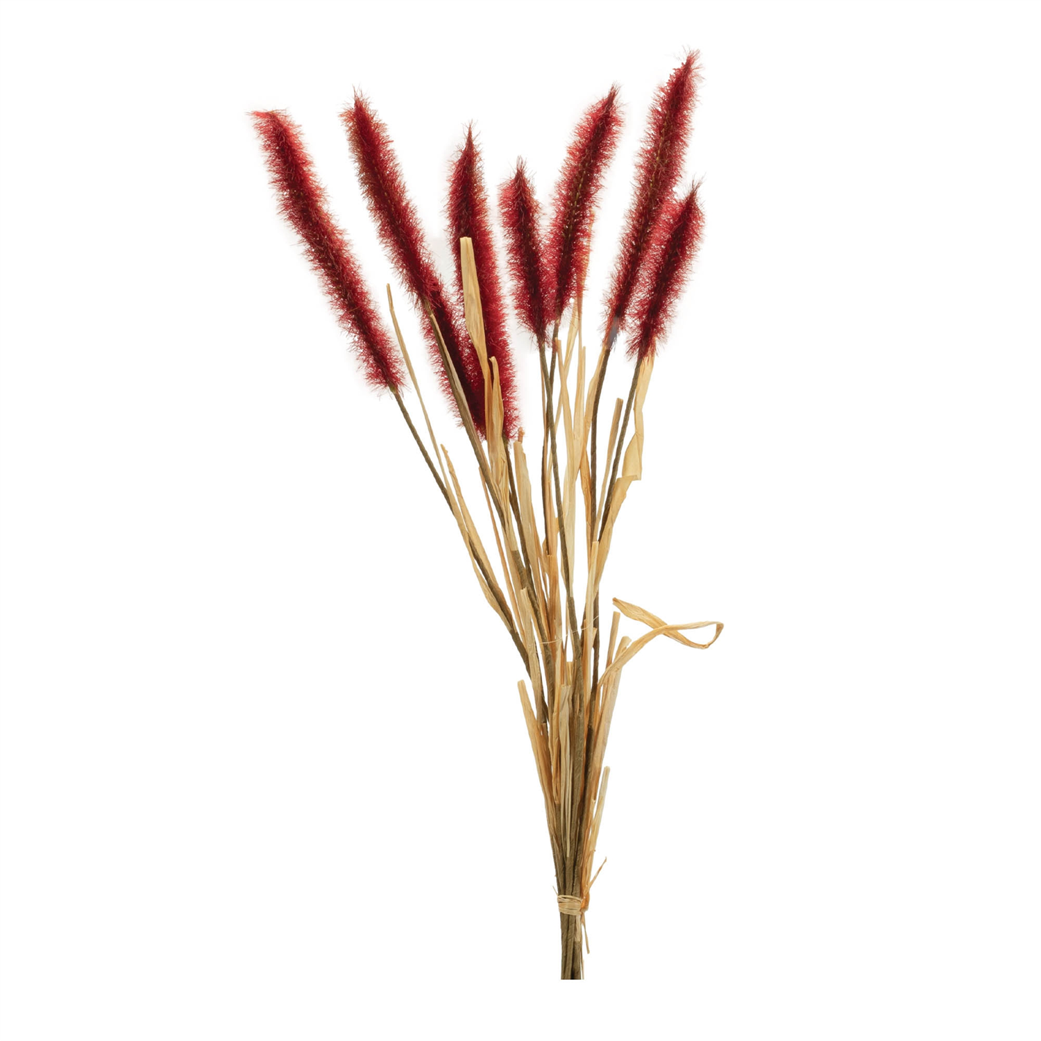 Foxtail Bundle (Set of 6) 23”H Plastic