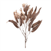 Eucalyptus Leaf Spray (Set of 6) 31”H Polyester