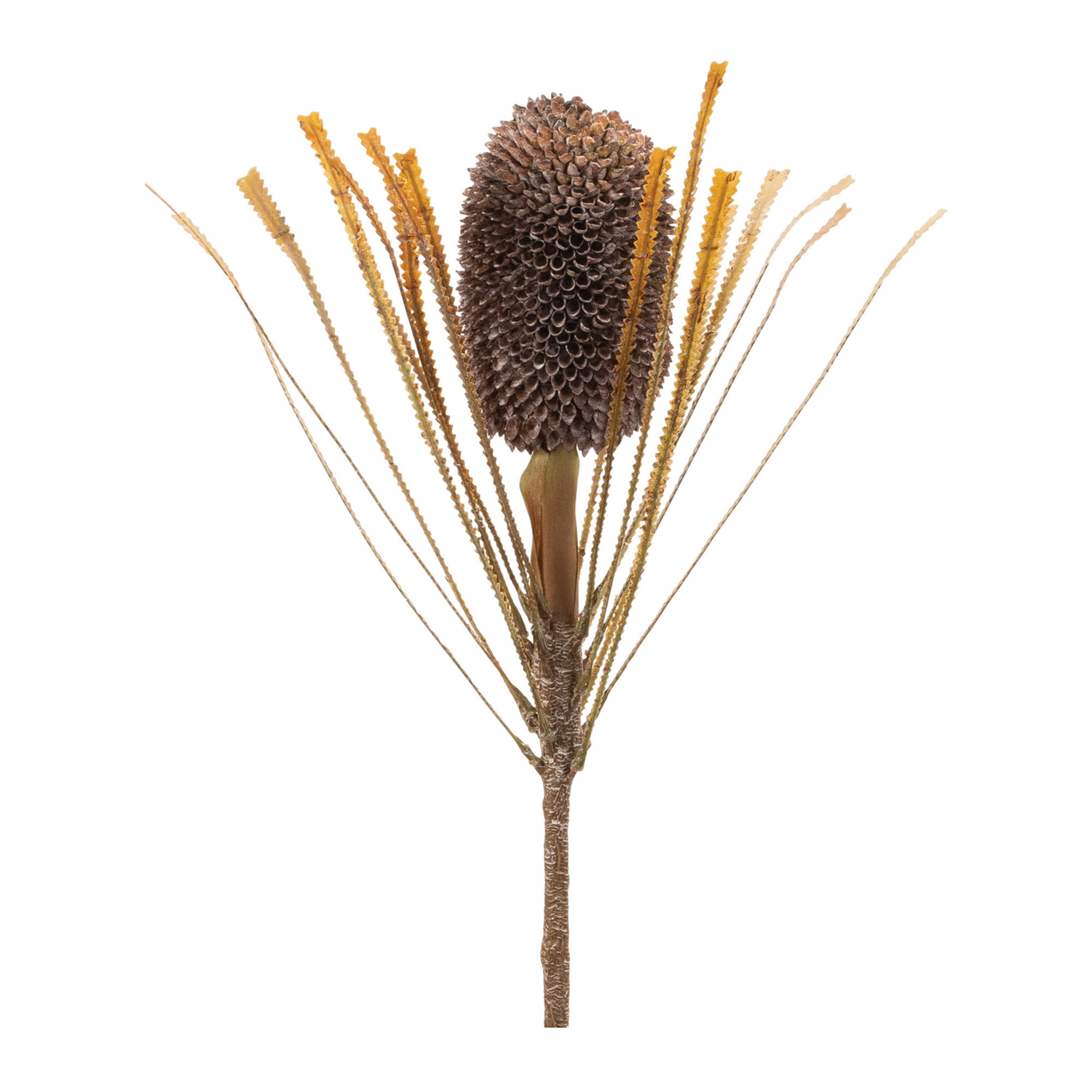 Banksia Stem (Set of 2) 28”H Plastic