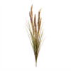 Foxtail Bush (Set of 6) 40”H Plastic