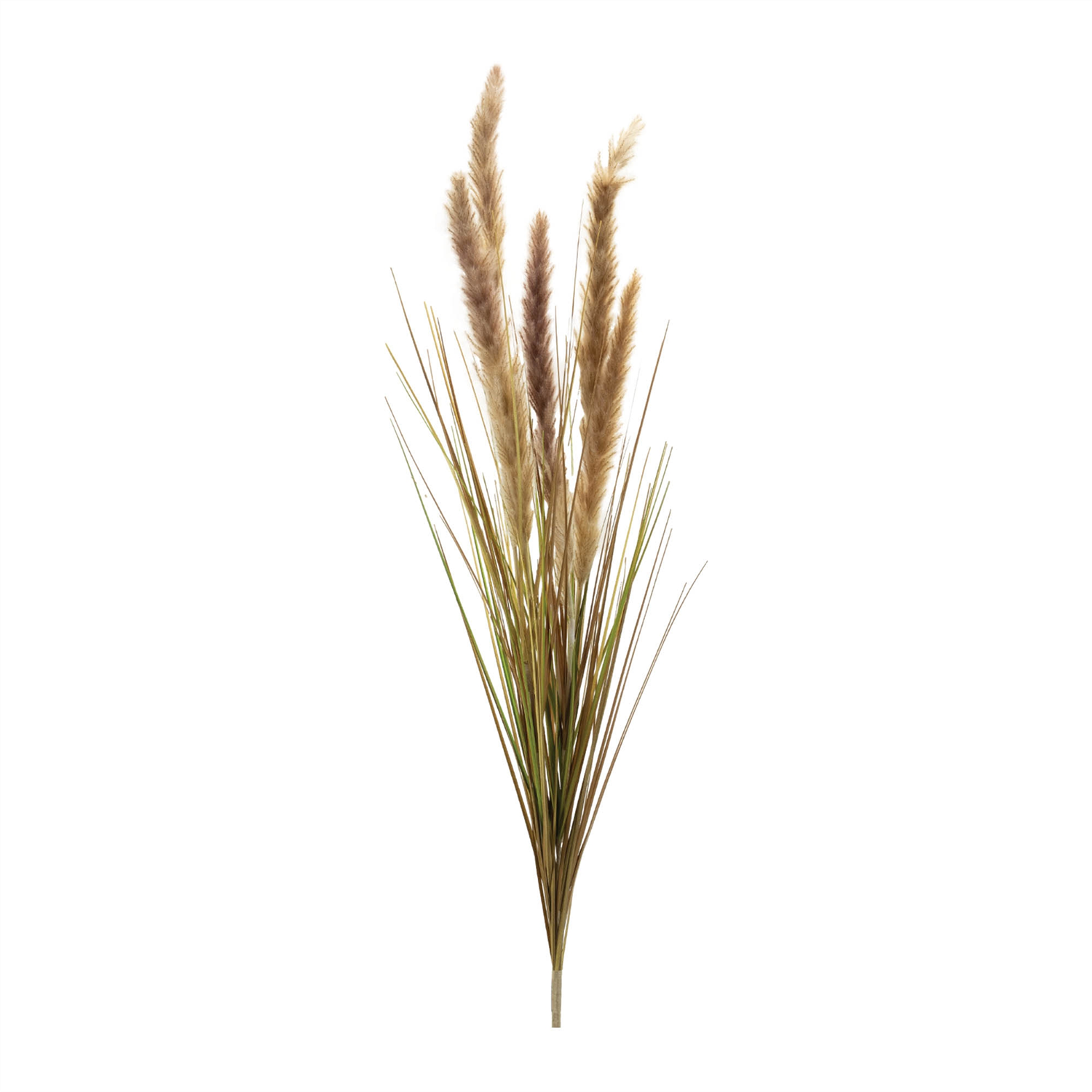 Foxtail Bush (Set of 6) 40”H Plastic