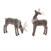 Deer (Set of 2) 7.5"H, 13"H Resin