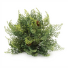 Cedar Half Orb (Set of 2) 11"D x 7.5"H Plastic