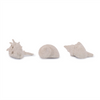 Shell (Set of 12) 2"H, 2.5"H, 3"H Resin
