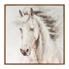 Framed Horse Canvas 24”SQ Canvas/Wood/Plastic