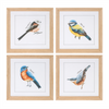 Framed Bird Print (Set of 8) 9.75”SQ MDF/Glass/Paper
