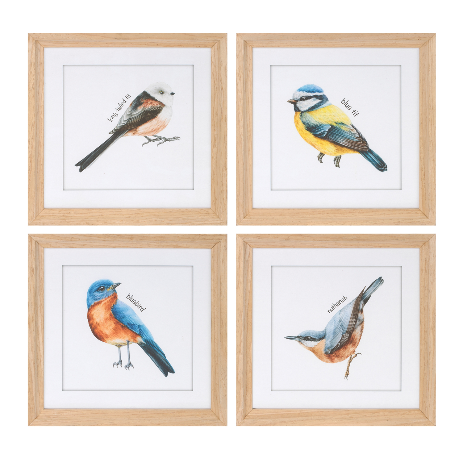 Framed Bird Print (Set of 8) 9.75”SQ MDF/Glass/Paper