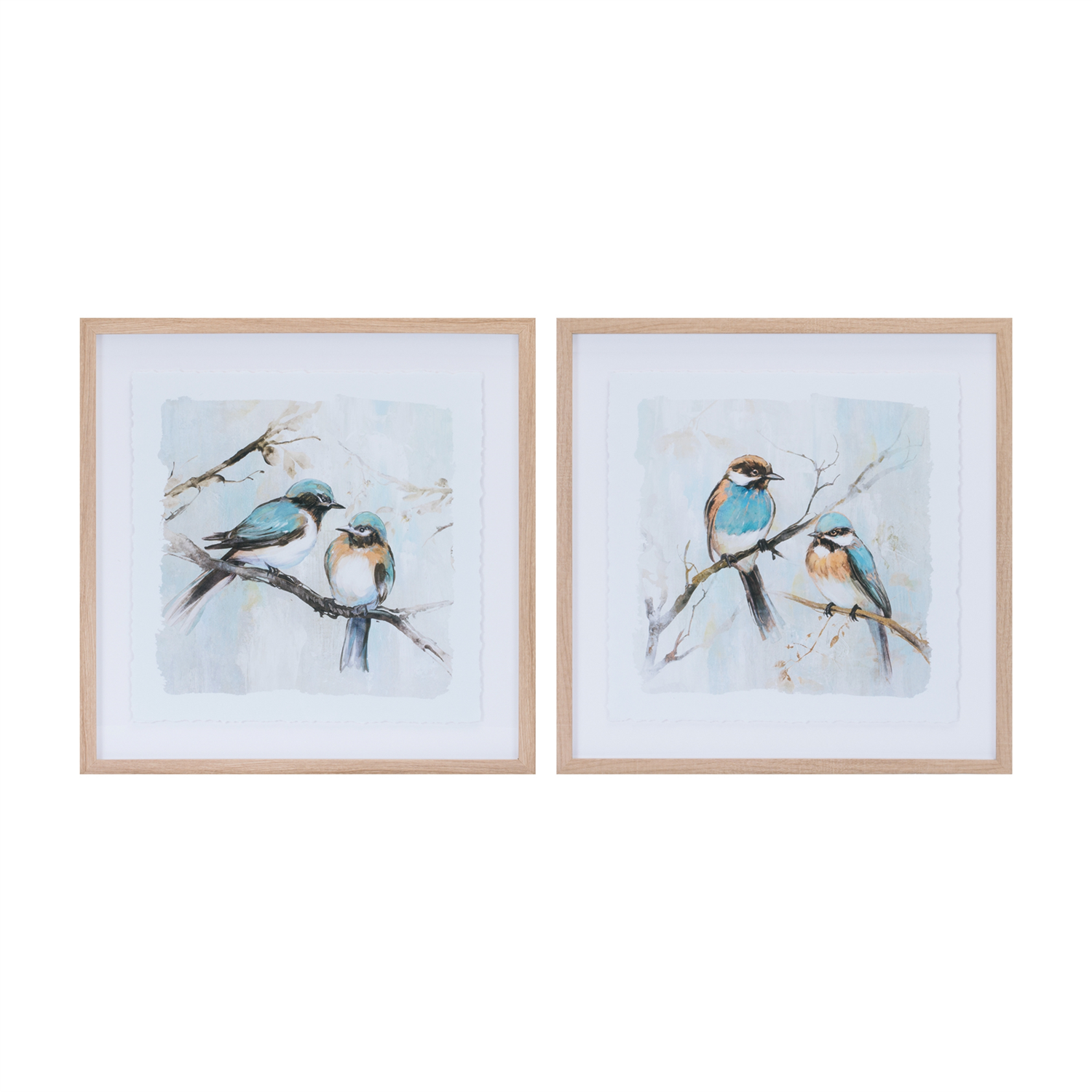 Framed Bird Print (Set of 2) 21”SQ Plastic/Paper