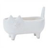 Cat Container (Set of 2) 6"L x 4.25"H Ceramic