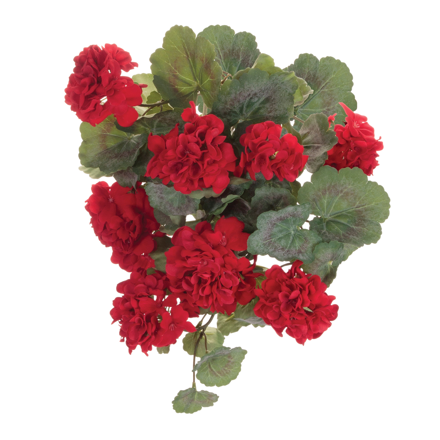 Geranium Bush (Set of 2) 21.5”H Polyester