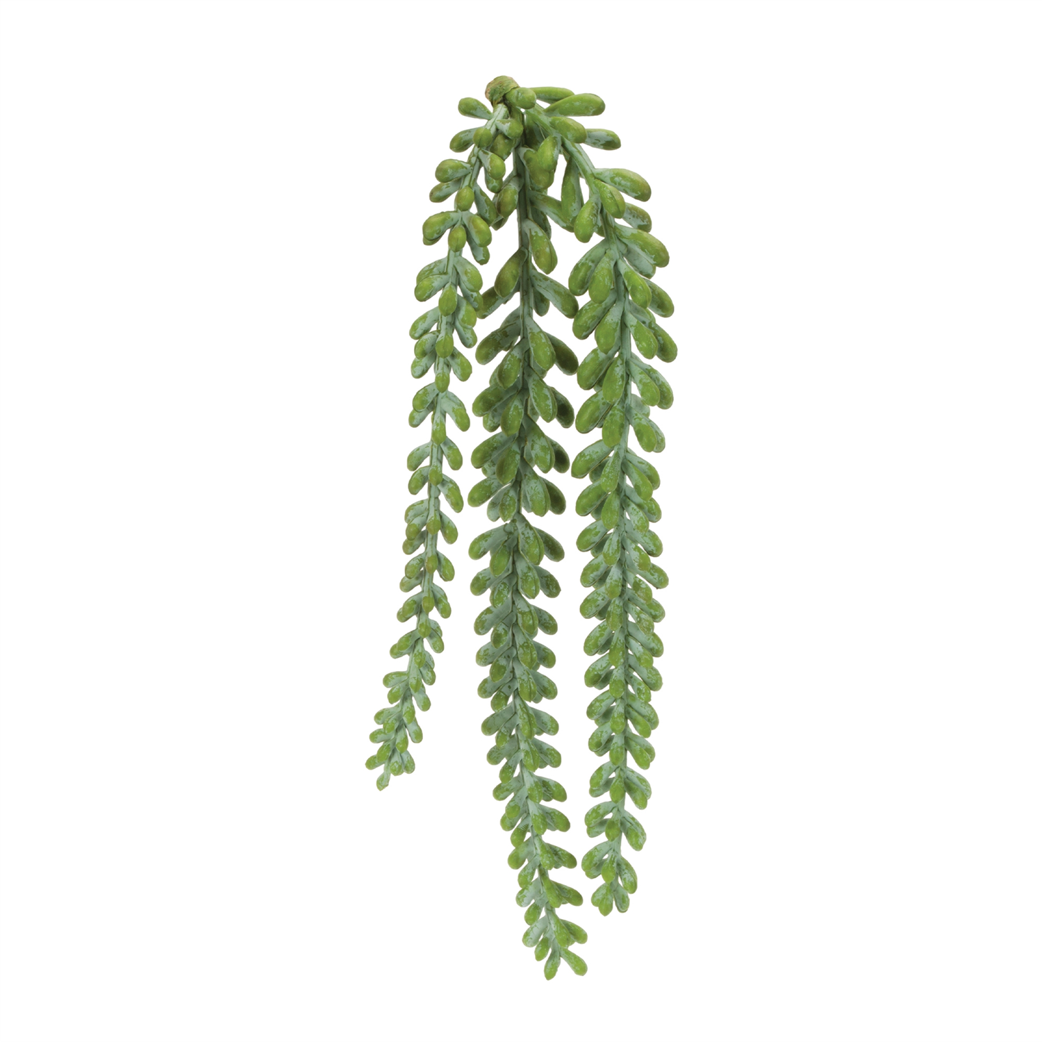 Succulent Stem (Set of 12) 14.5”H Plastic