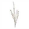 Pussy Willow Stem (Set of 6) 30.5”H Plastic
