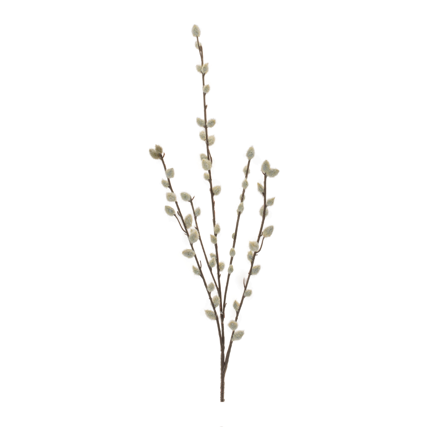 Pussy Willow Stem (Set of 6) 30.5”H Plastic