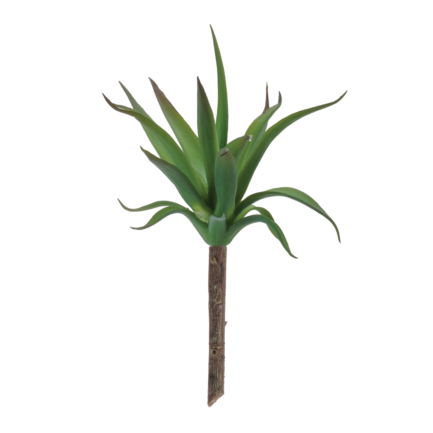 Succulent (Set of 6) 8.75”H Plastic