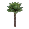 Succulent (Set of 12) 4.25”H Plastic