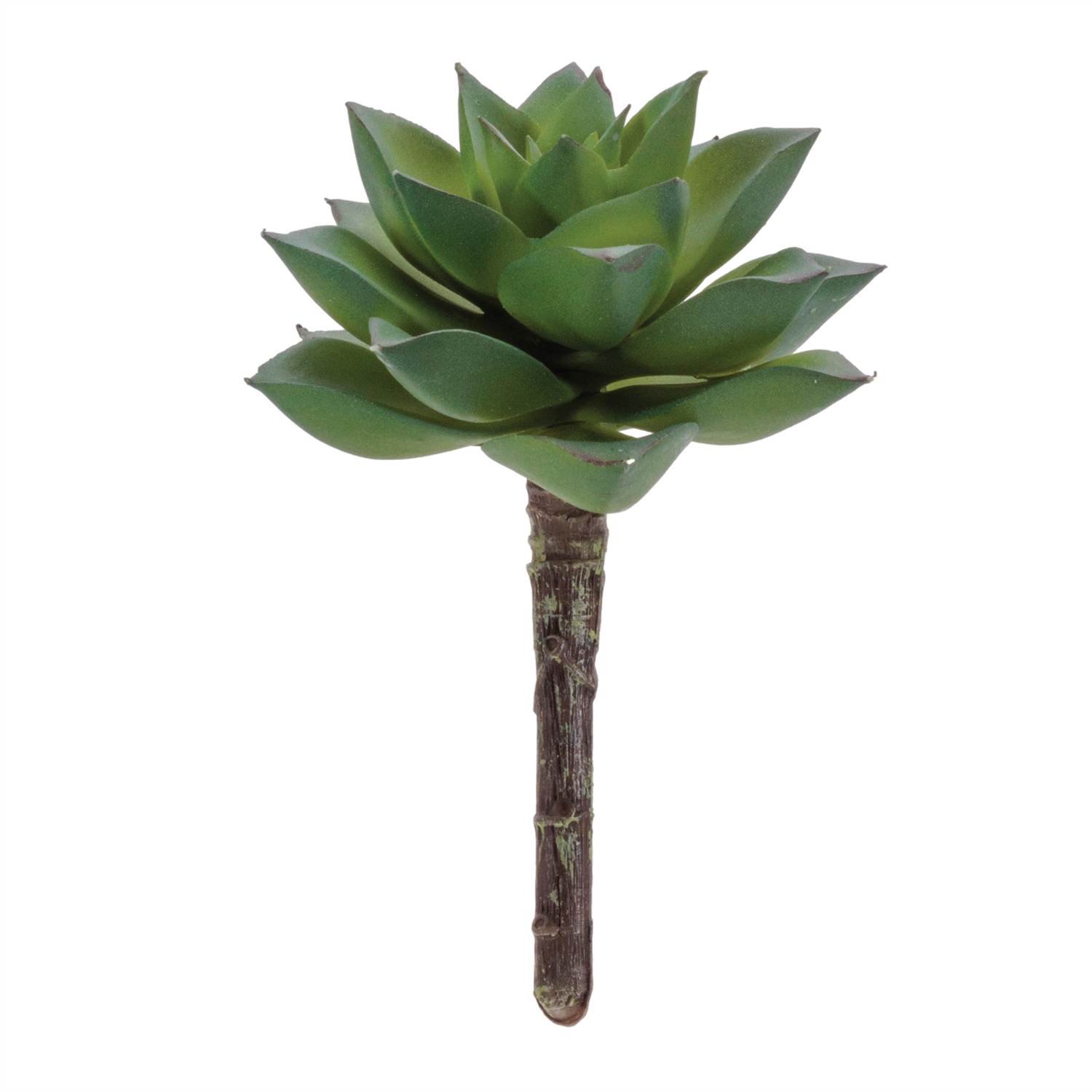 Succulent (Set of 12) 4.25”H Plastic