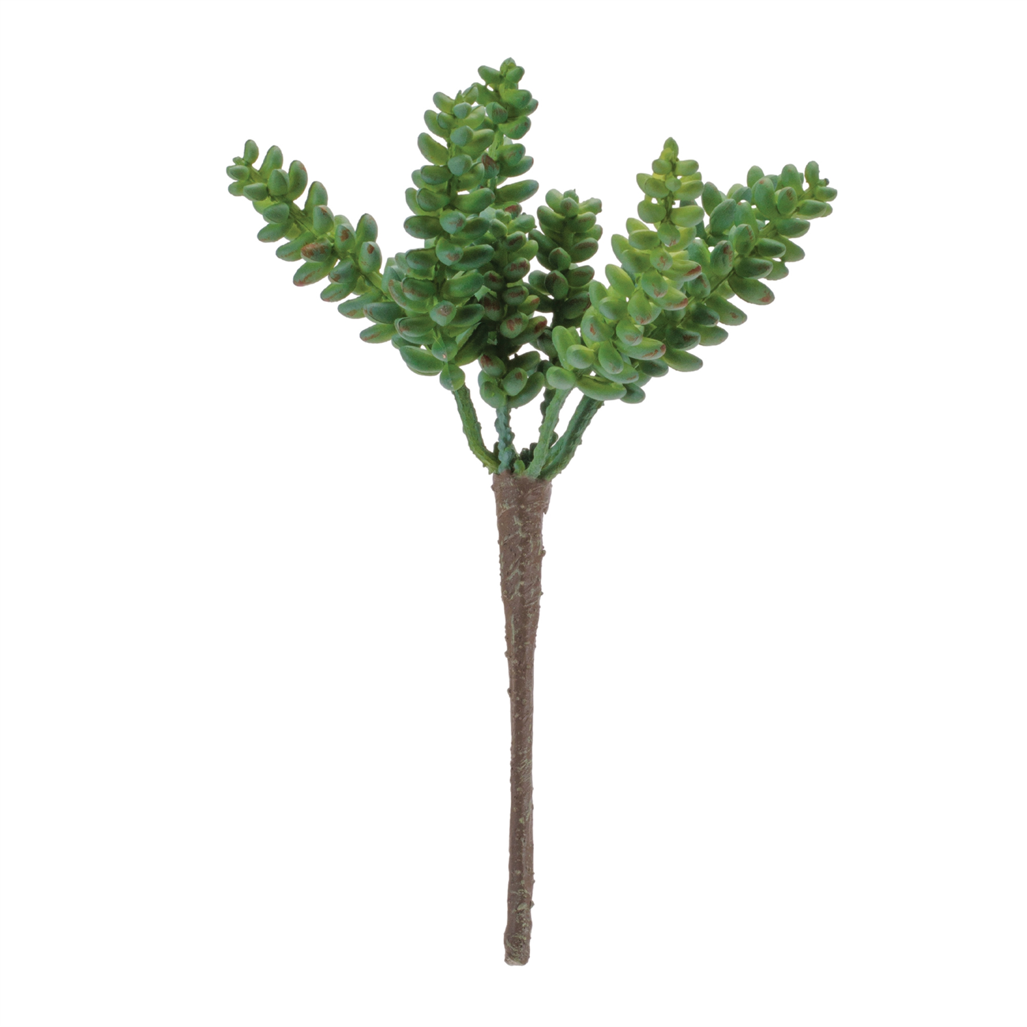 Succulent (Set of 6) 8”H Plastic