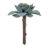 Succulent (Set of 12) 5”H Plastic