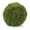 Moss Orb (Set of 2) 8.5”D Plastic/Polyester