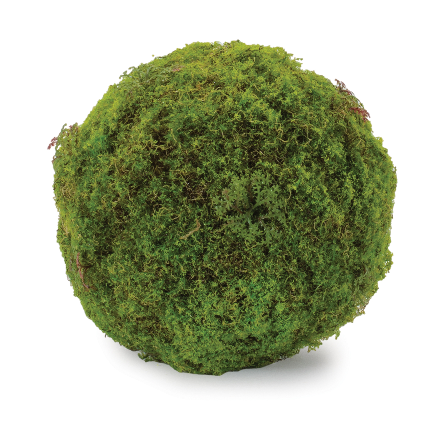Moss Orb (Set of 2) 7”D Polyester/Plastic