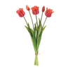Tulip Bundle (Set of 2) 18.5”H Plastic