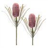 Protea Stem (Set of 2) 28”H Plastic