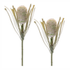 Protea Stem (Set of 2) 28”H Plastic