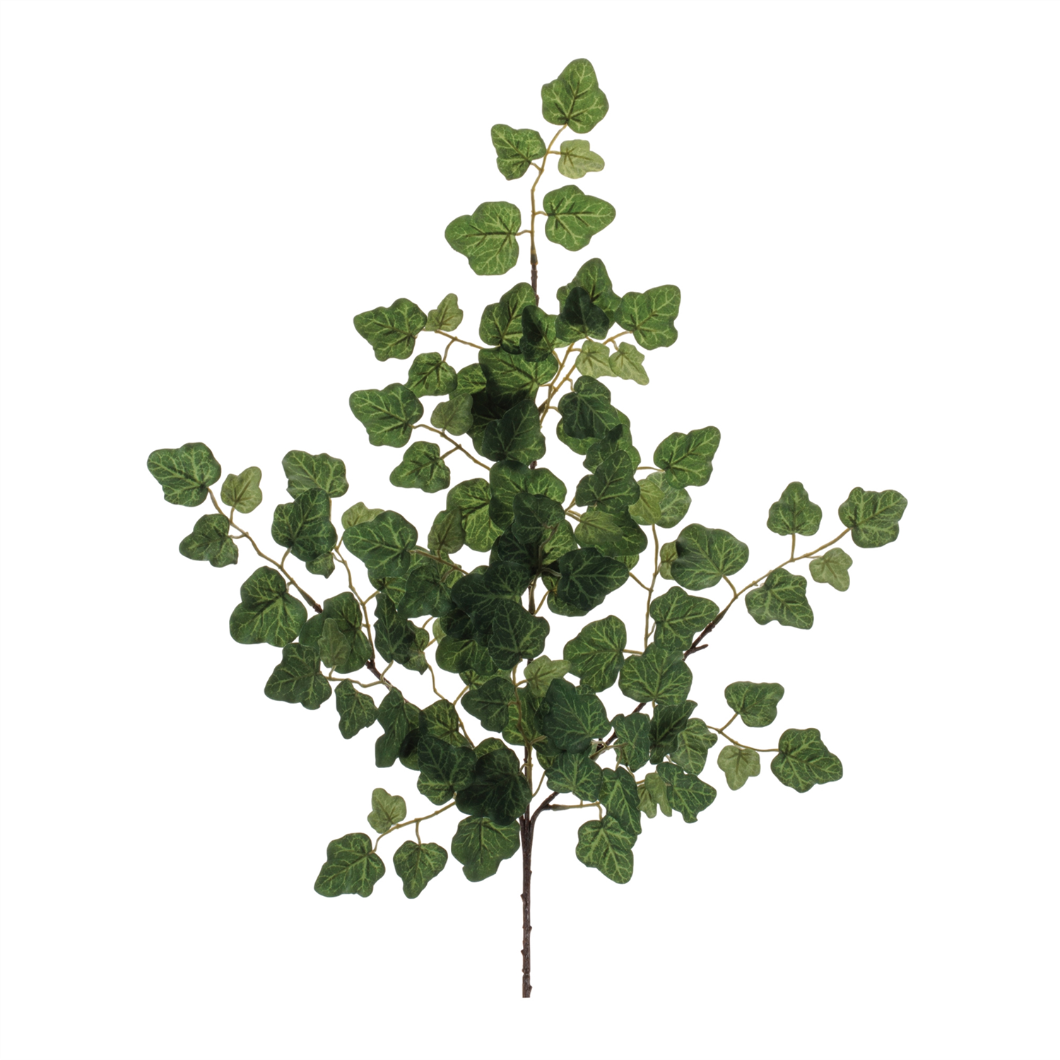 Ivy Spray (Set of 6) 25”H Polyester