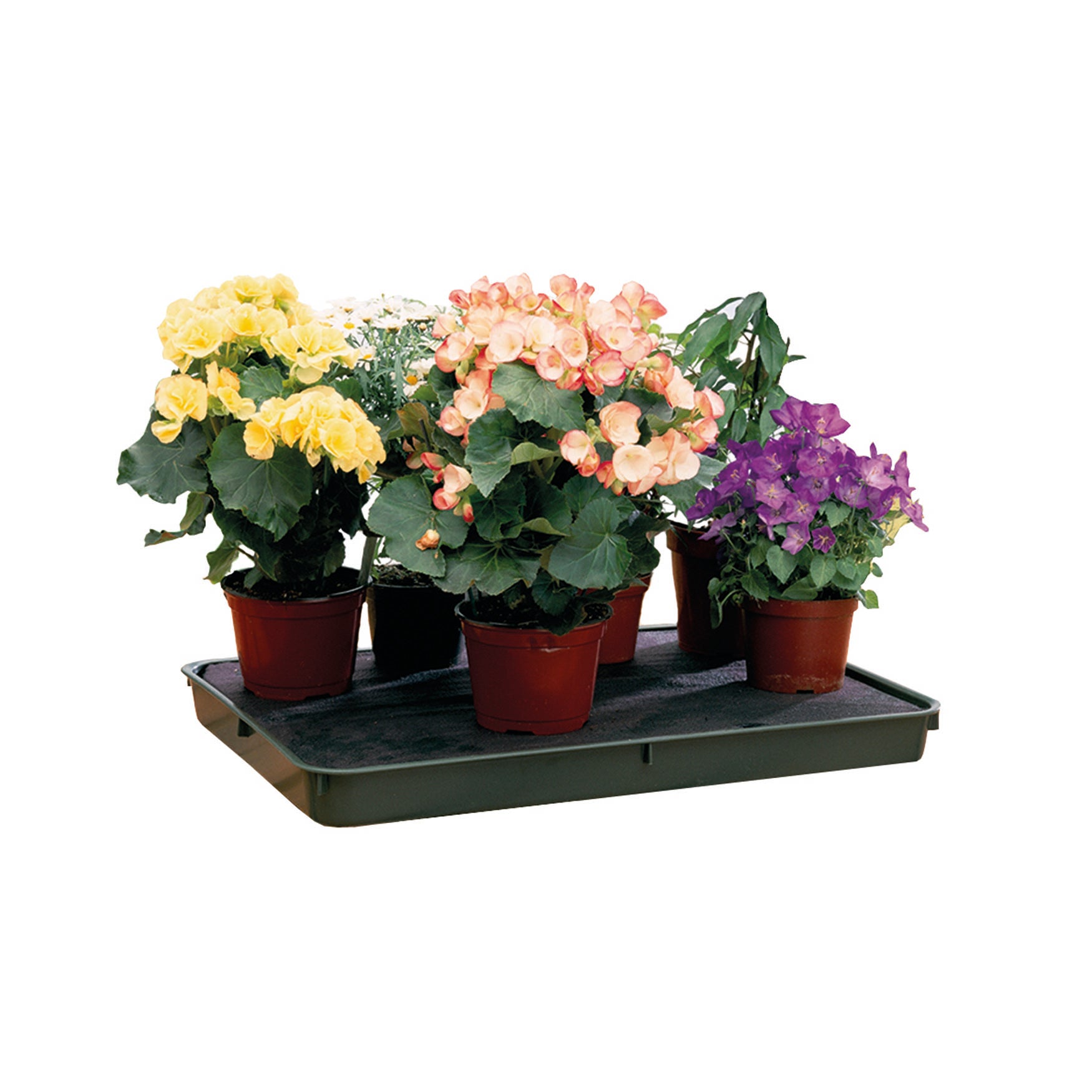 large self watering plant tray Large Green Self-Watering Tray – Rhodes Greenhouses