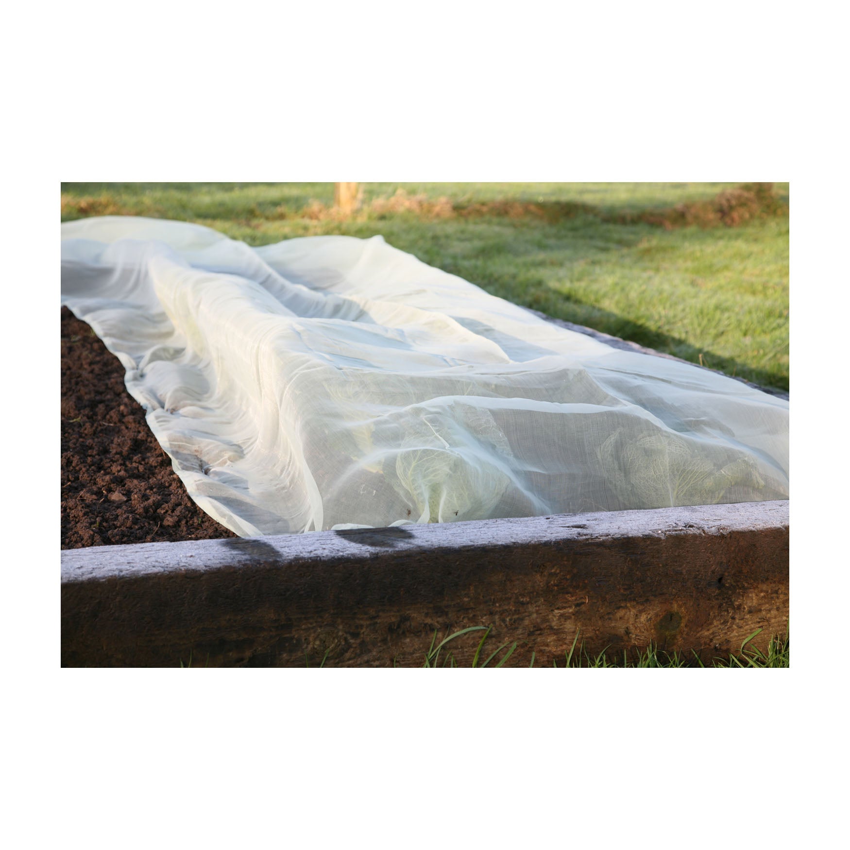 Micromesh Blanket