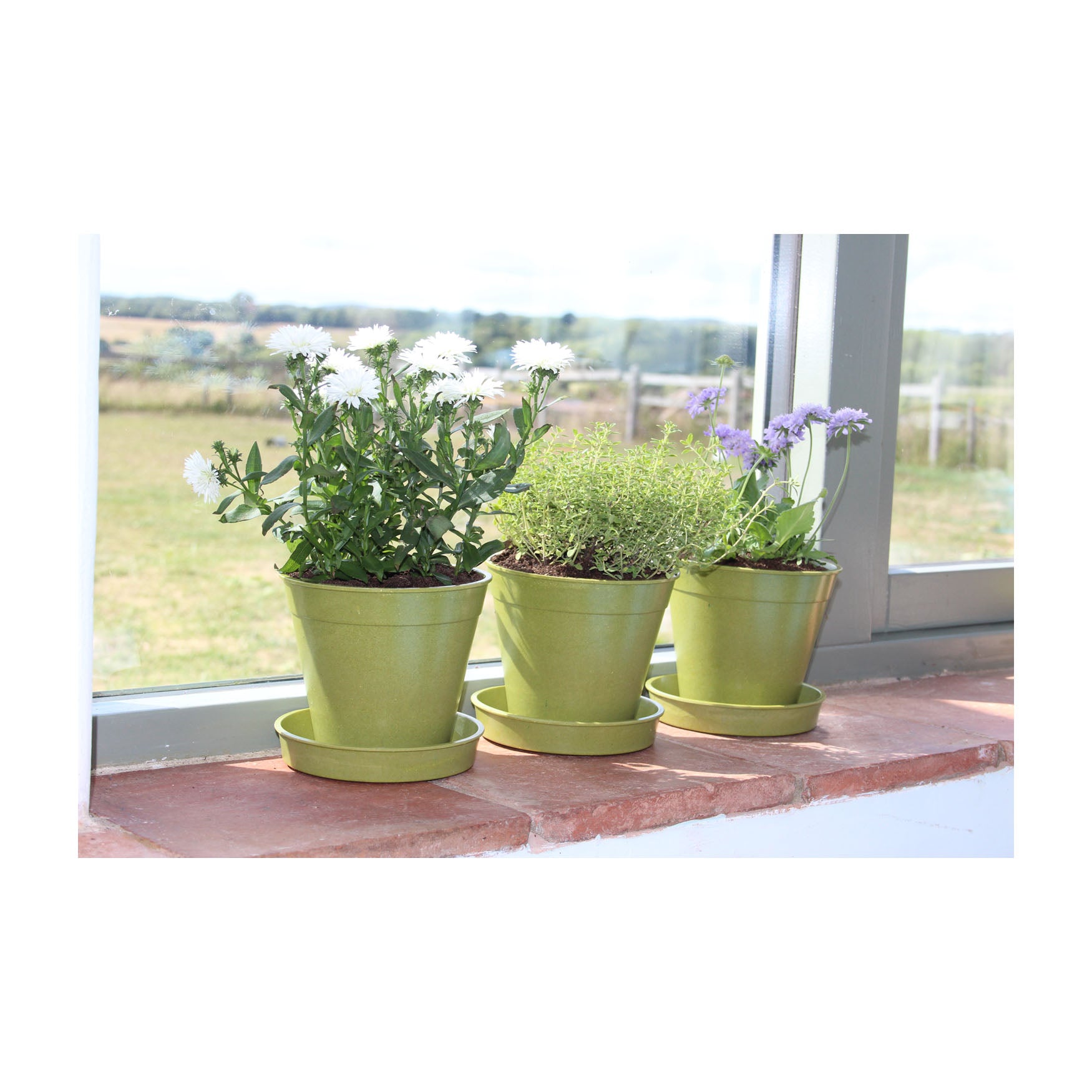 5" Green Bamboo Pot 5pk