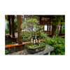 DeWit Bonsai Tool Kit in Wooden Box