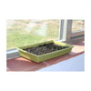 Bamboo Seed Tray