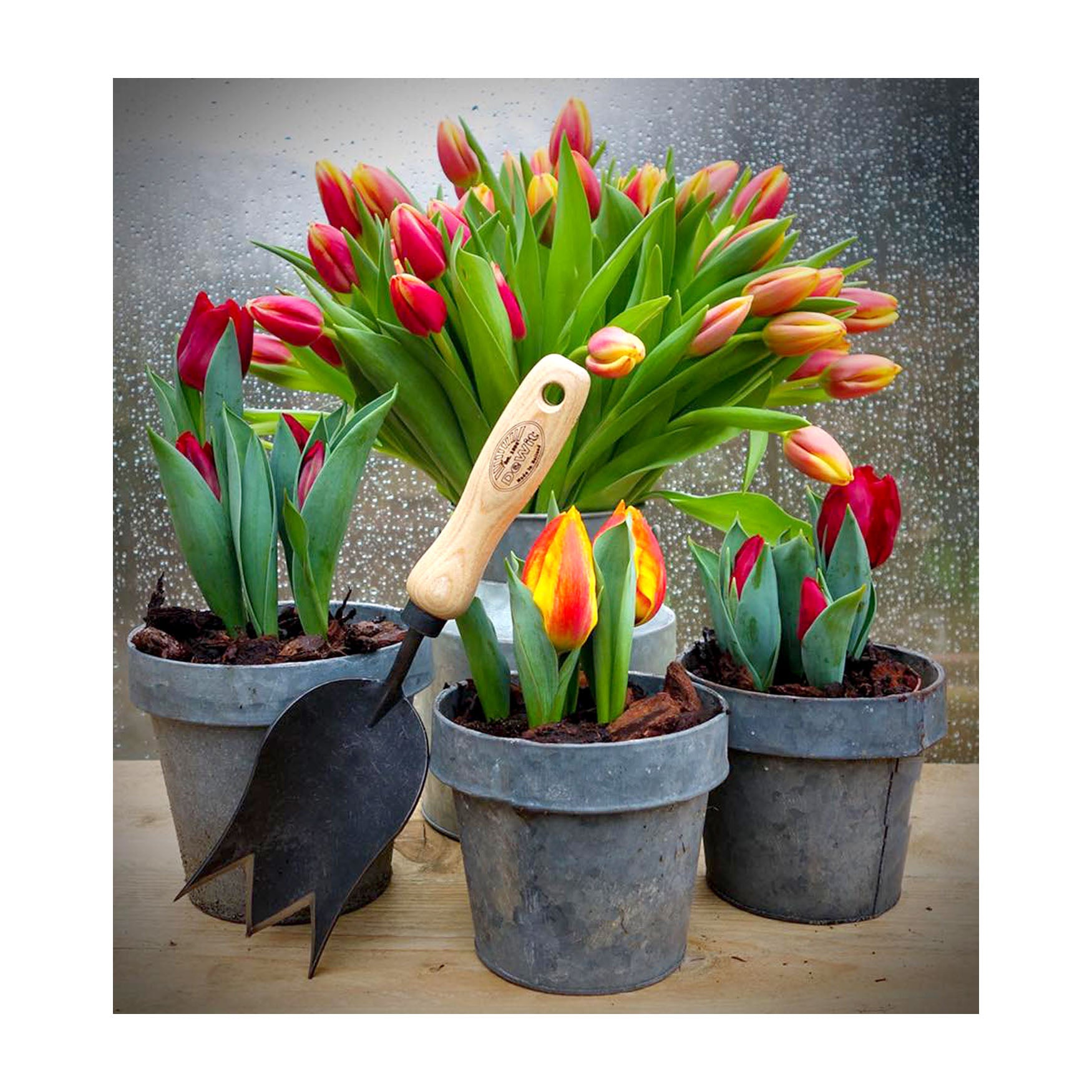 DeWit Tulip Trowel - Thumbnail 3