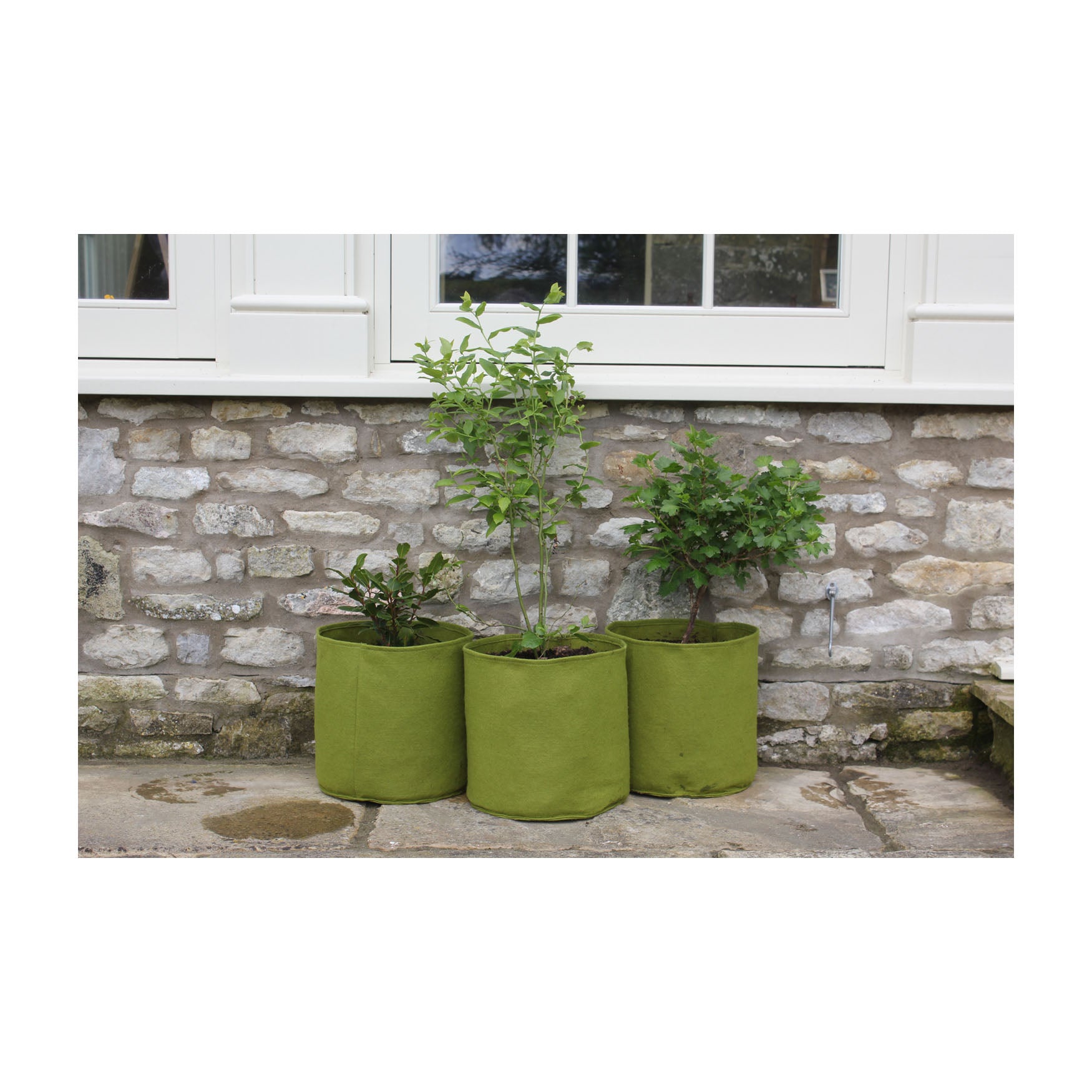 4.0 Gal Vigoroot Pots 3pk